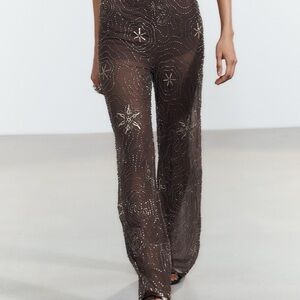 Beaded Brown Mesh Pants - Zara